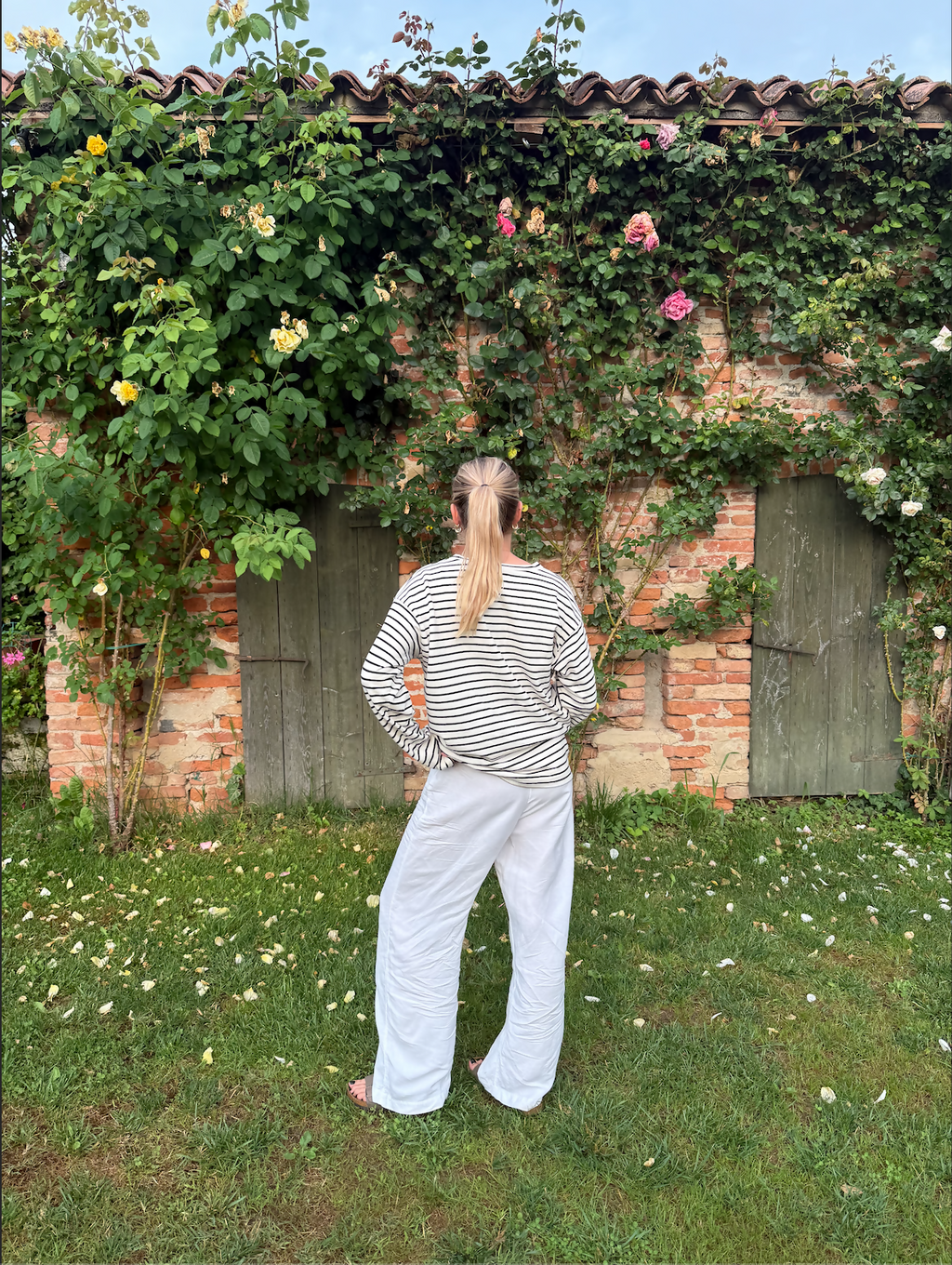 Longsleeve Line